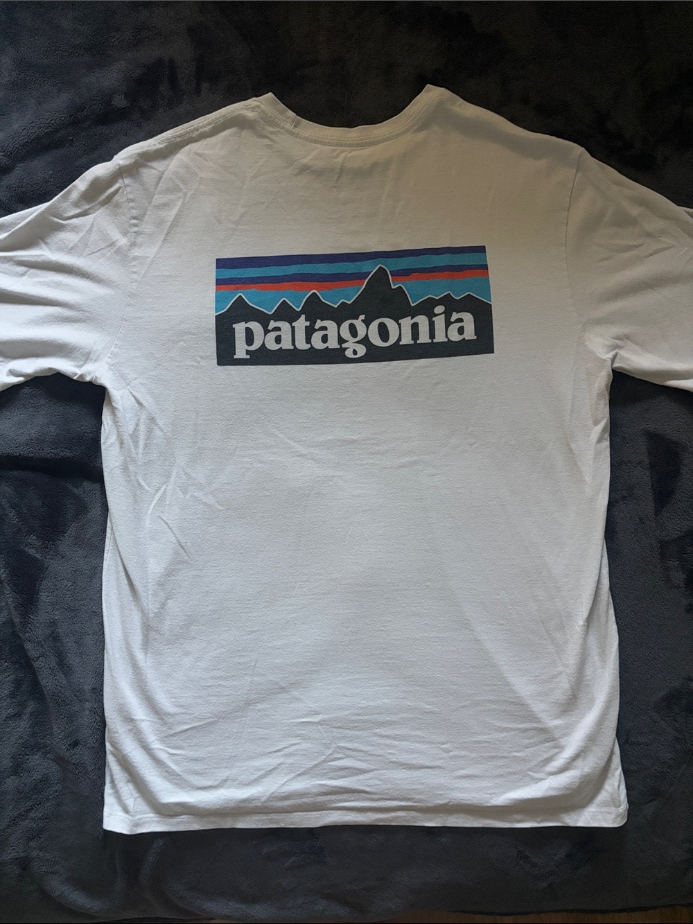 Patagonia White Tee with Multicolor Logo